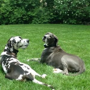 Meet your Posher, Wendy